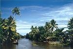 backwater.jpg (4166 Byte)