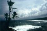 kovalam.jpg (3506 Byte)