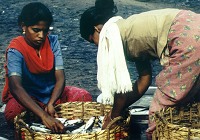 fischmarkt2.jpg (15970 Byte)