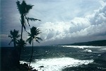 strand.jpg (27781 Byte)