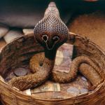 schlangek.jpg (6458 Byte)